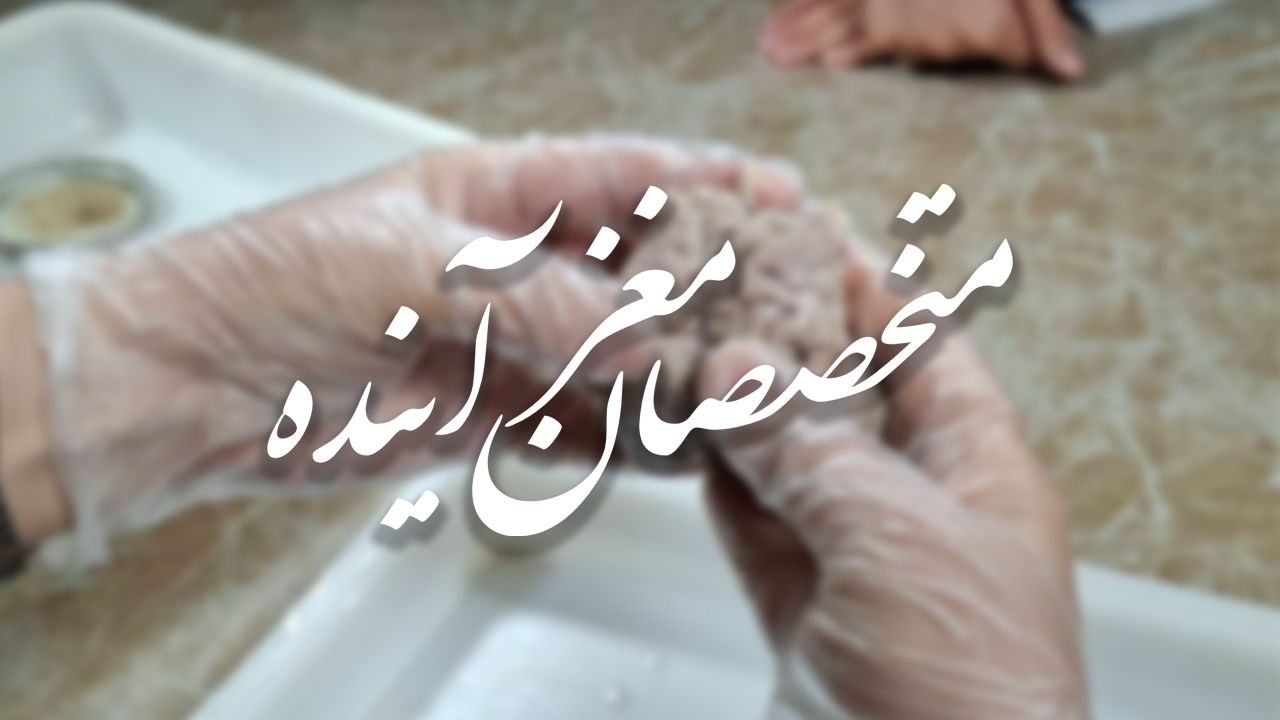 متخصصان مغز آینده
