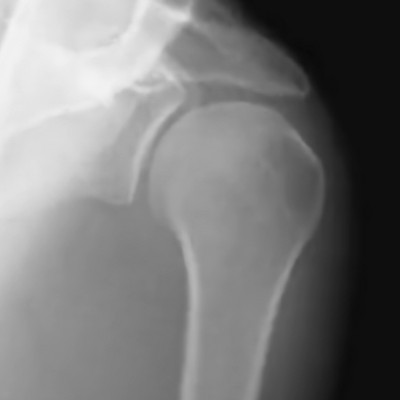 نویسنده: مهسا جلالیان