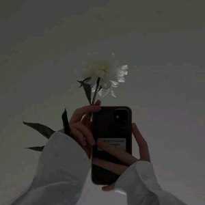 SAMIN BAGHERI