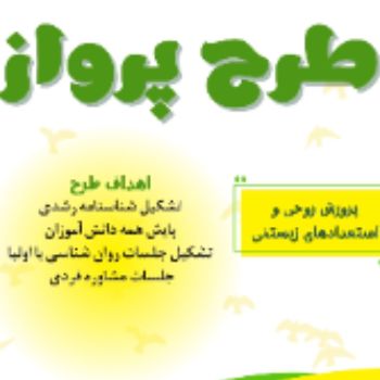 طرح پرواز